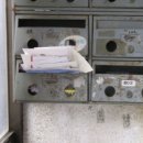 삼동1호 이미지