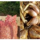 종구농장 이미지