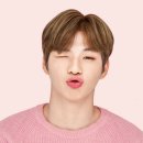 이니 Daum카페