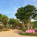 태화강국가정원 이미지