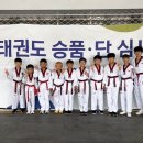 태권도상무체육관 이미지