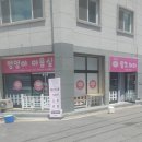 핑크퍼피 | 대전 동구애견미용 핑크퍼피 깔끔하게 미용 잘하는곳 추천!