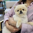 [서울] 항동 &lt;아롱네일&gt; 내돈내산 방문 후기