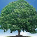 인천송천고등학교 이미지