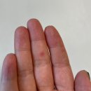 사진관, 24개월 영유아검진, 꿈자람공동육아방 용신점, 용산가족공원, 가을 수족구, 서울숲 나들이...