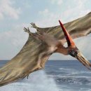 프테라노돈 이미지