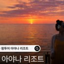 시아리아팜 이미지