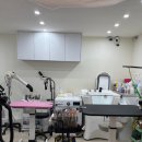 편안한댕 이미지