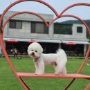 살롱드몽몽 이미지