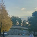 COGIT(코지트) 이미지