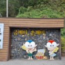 [정선여행] 부모님, 아이들과 가기 좋은 화암동굴 후기
