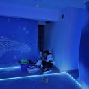 혜윰유치원 이미지