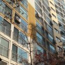 금화로11번길 네이버블로그