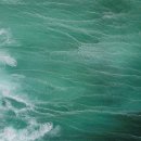 모아나(moana) 이미지