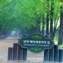 메카민박