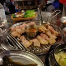 팔팔돼지(88돼지) 이미지