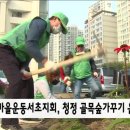골목숲