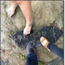 이재명은 ‘전두환 비석 밟기’로 끝났다! 이미지