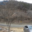 여주-1136 이미지