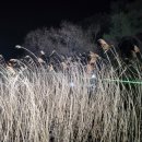 틀모산 도시숲 이미지