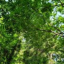 수리봉농장 이미지