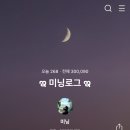 헤담살롱 | [블챌_6월3주차] 주간일기📆