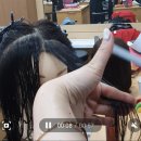 나는 우리집 미용사 이미지