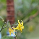 오돌개마을 이미지