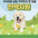 참조은펫 이미지