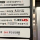 도노포레스타