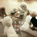 복