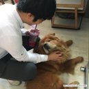 마마가비 이미지