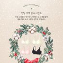 블라블라 - 크리스마스 데코템 ( 자라홈 / 라듀레 / conservatoire des hémisphères )