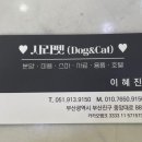 사라펫