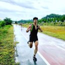 270-2545 | 베이퍼 플라이 넥스트 퍼센트, 줌 페가수스 터보2 후기,철인3종,듀애슬론,마라톤 대회 참가 by 강남구청...