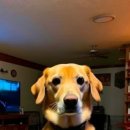 산책가까 이미지