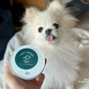 pet109더9730 | 무가당 + 뽀또 과일 그릭요거트 &lt;레이지요거트&gt; 내돈내산 배송 후기 강아지 그릭요거트까지!