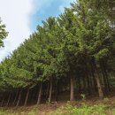 산골여행 이미지