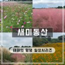 동산 | 핑크뮬리와 꽃으로 가득한 제주 &#39;새미동산&#39; 후기