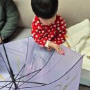 그림자 체험놀이 이미지