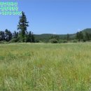 동광리-5 이미지