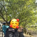 무릉도원면-5 | 계곡 바로 옆 &#39;더불어사는터 캠핑장&#39; (강원도 영월군 무릉도원면) A12 사이트 내돈내산 후기