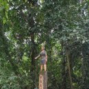 마리마리 컬처 빌리지 (민속마을) 이미지