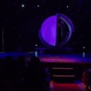 고고크라운 이미지