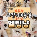 멜팅냥 네이버블로그