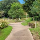 금수레공인중개사사무소 이미지