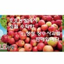 치수농장 이미지