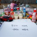 정인인력 이미지
