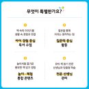 리틀원 네이버블로그