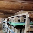 산속의친구 이미지